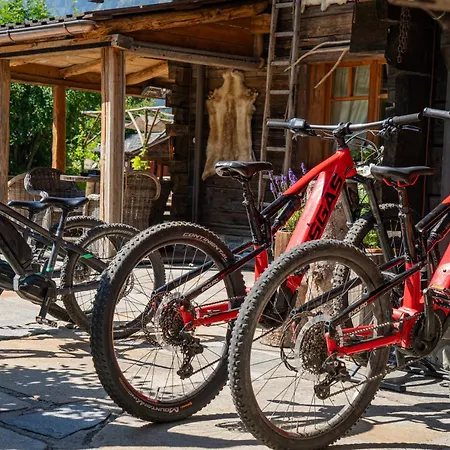 Svizzero Отель